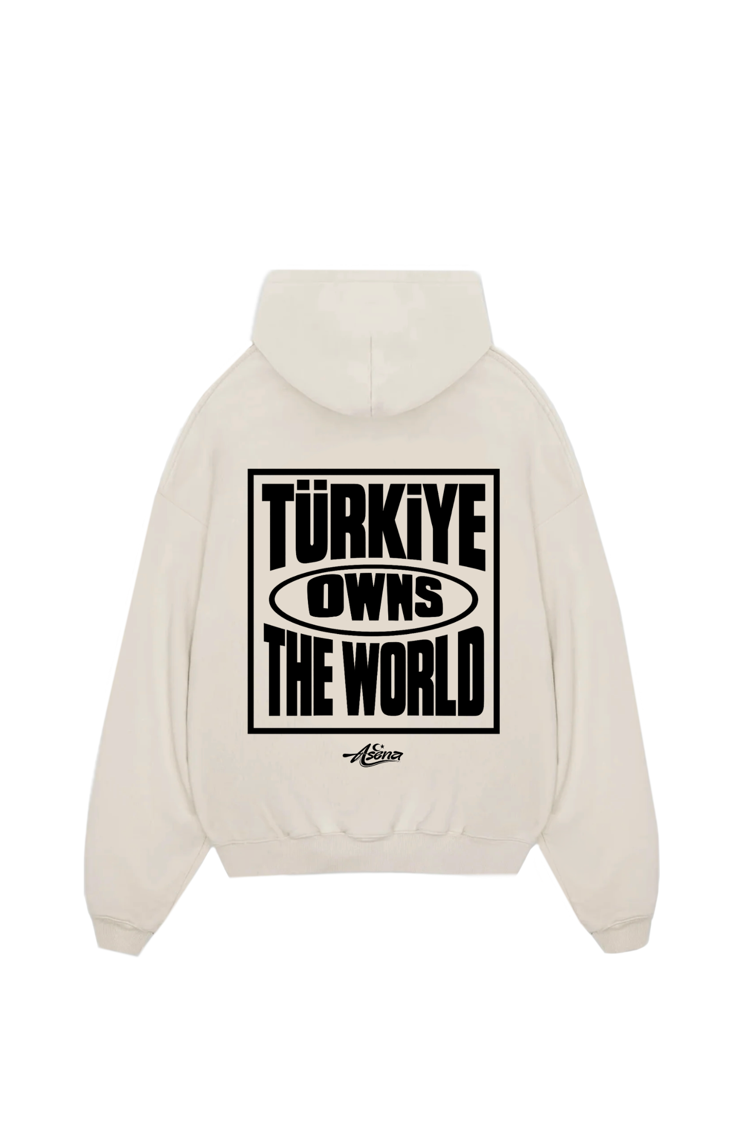 Türkiye owns the World Oversize Hoodie