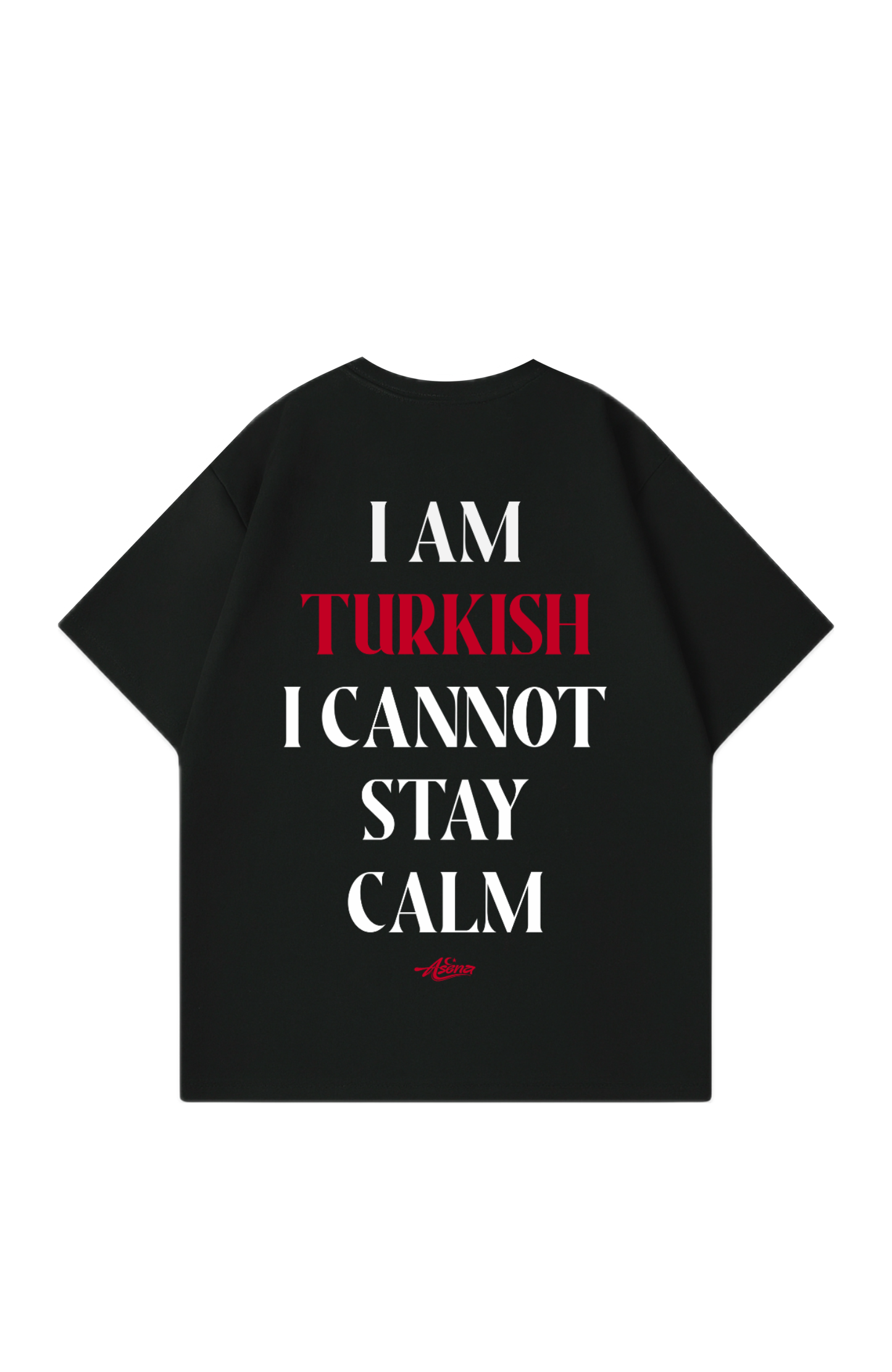 I am Turkish Oversize T-Shirt