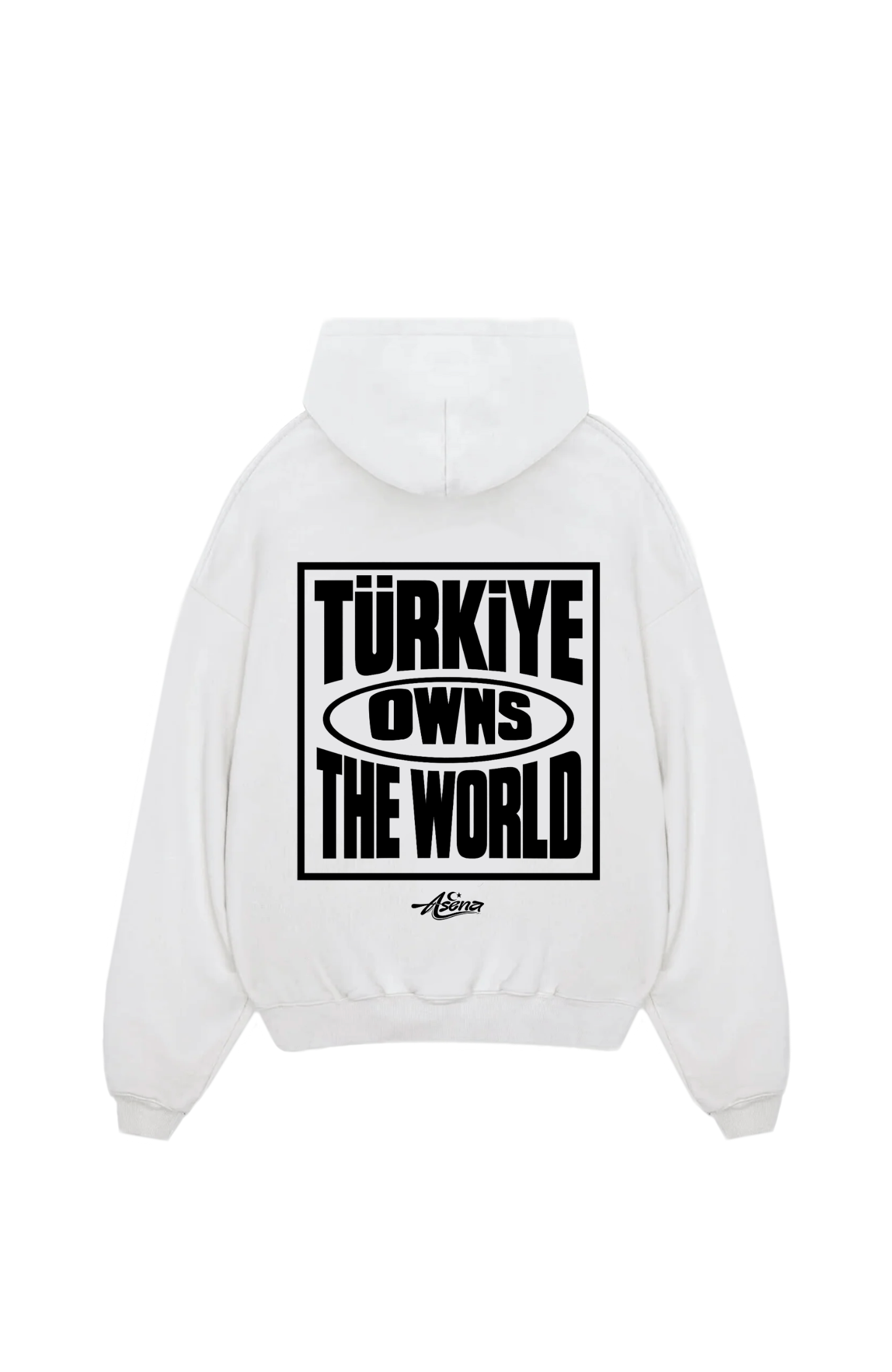 Türkiye owns the World Oversize Hoodie