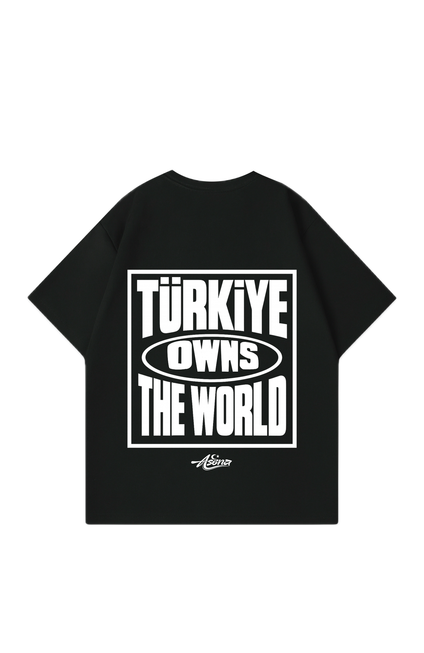 Türkiye owns the World Oversize T-Shirt