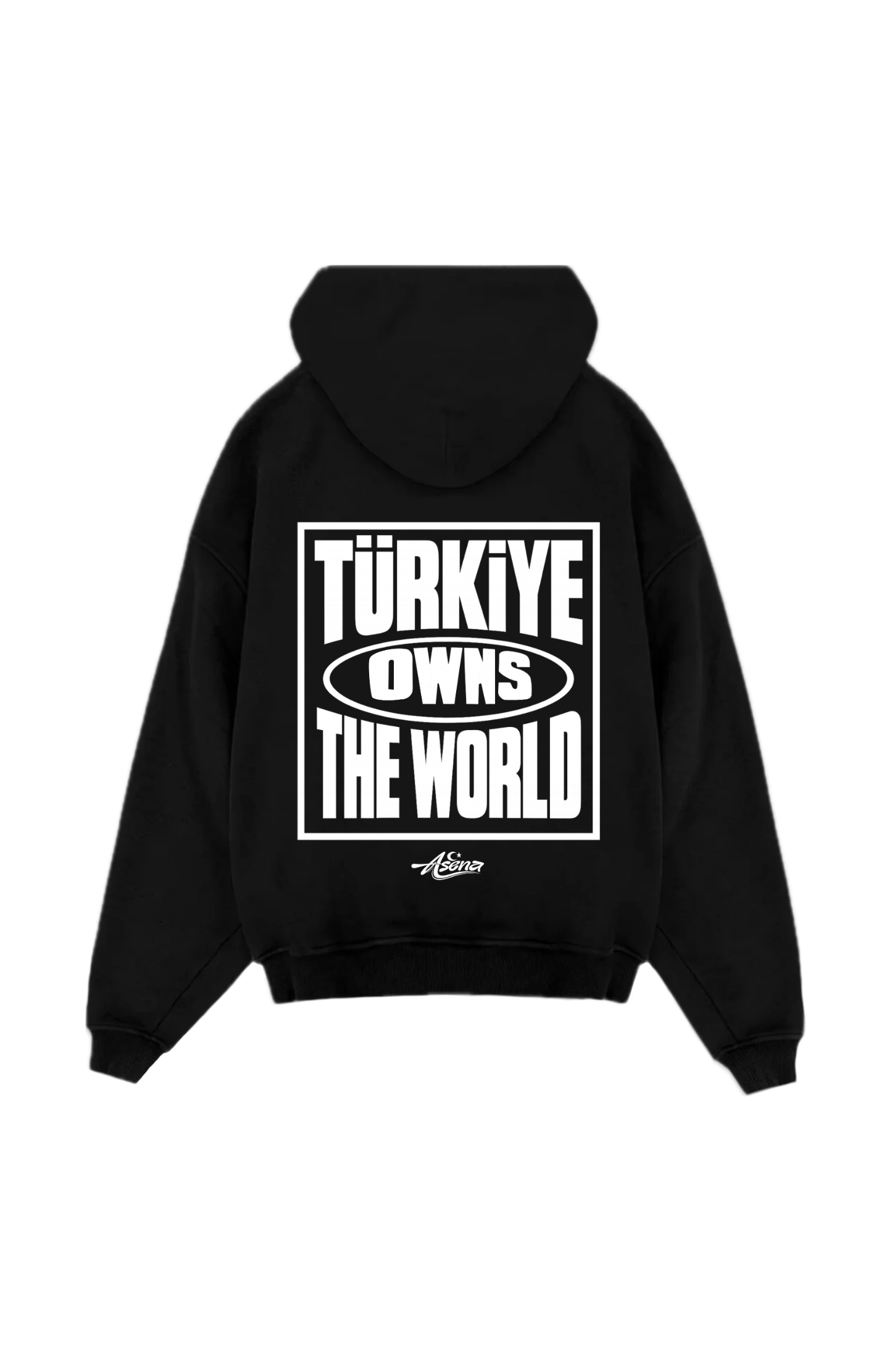 Türkiye owns the World Oversize Hoodie